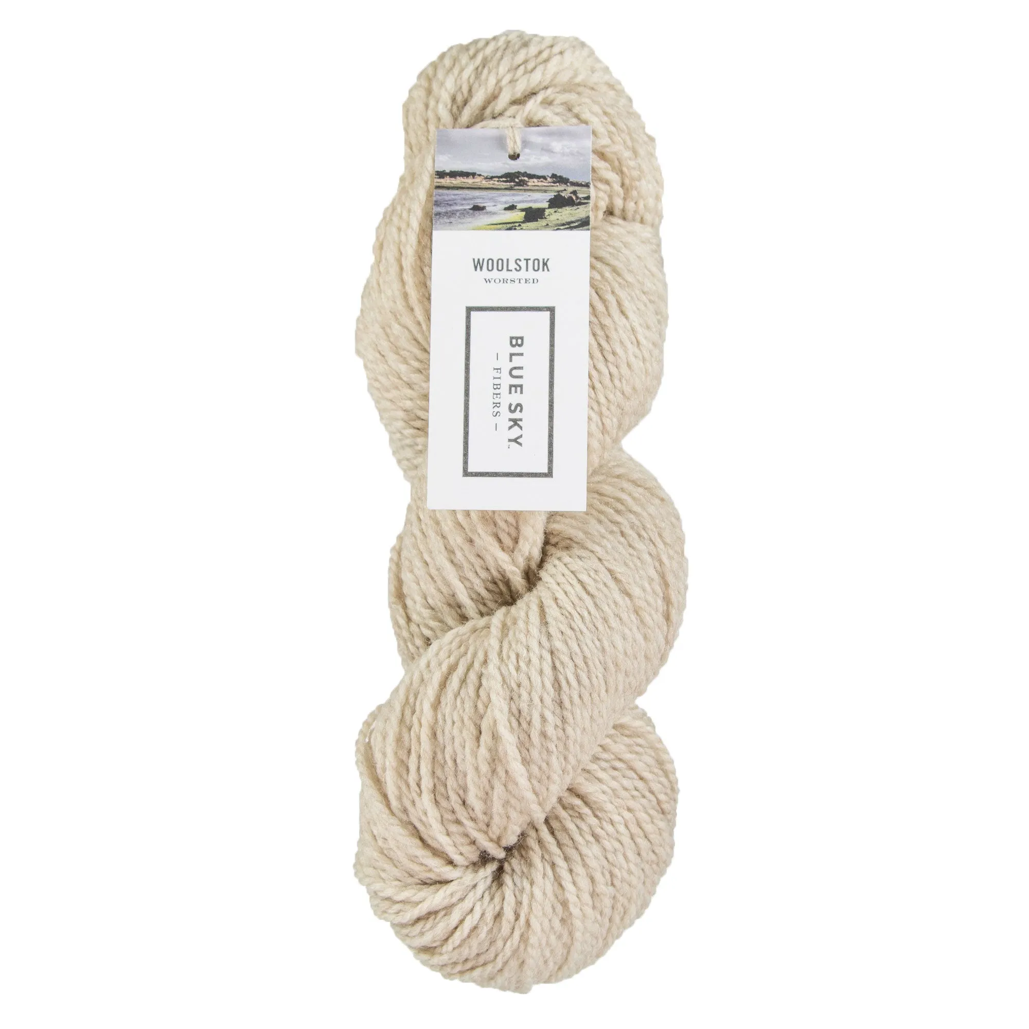 Blue Sky Fibers Woolstok Yarn - 1312 Drift Wood