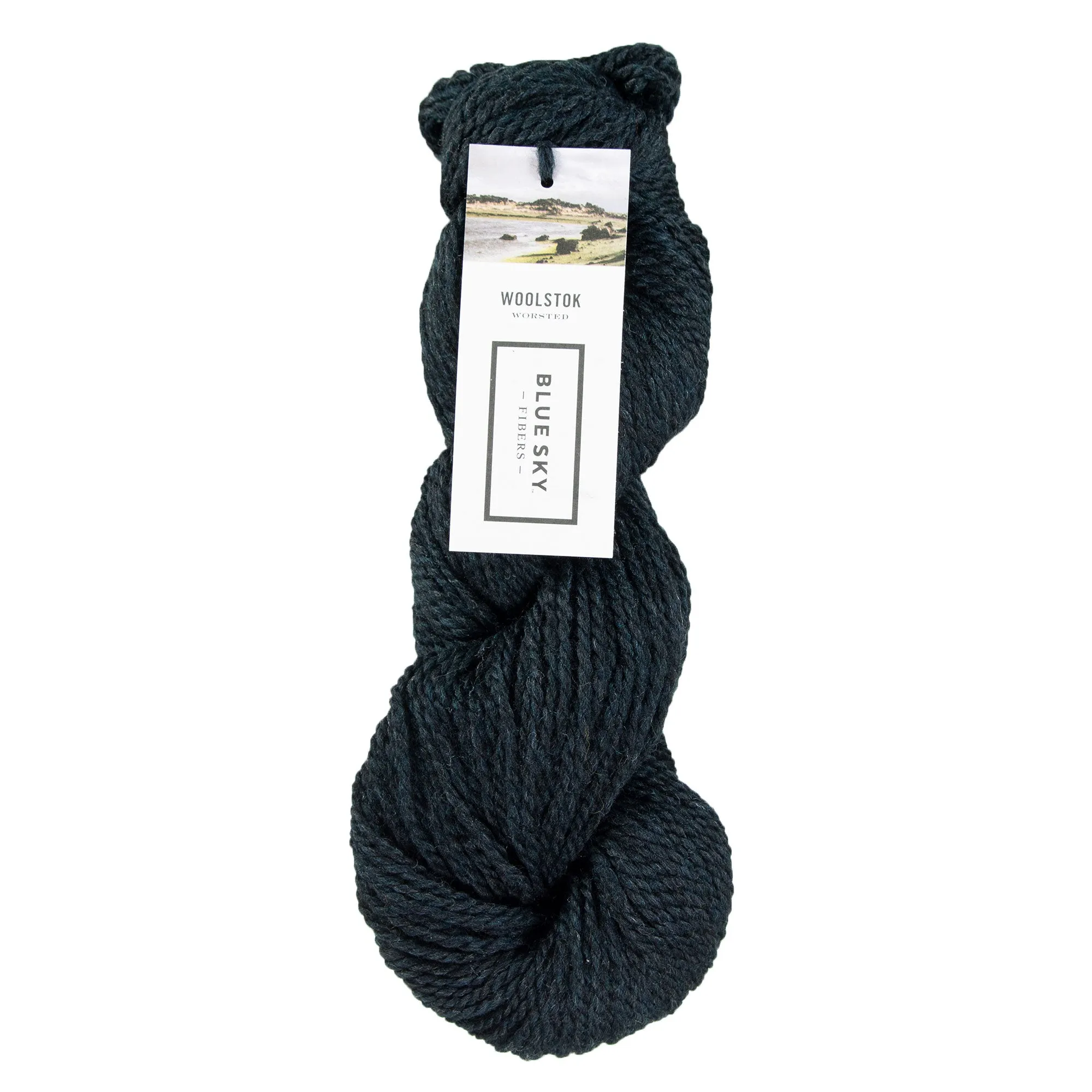 Blue Sky Fibers Woolstok Yarn - 1317 Midnight Sea