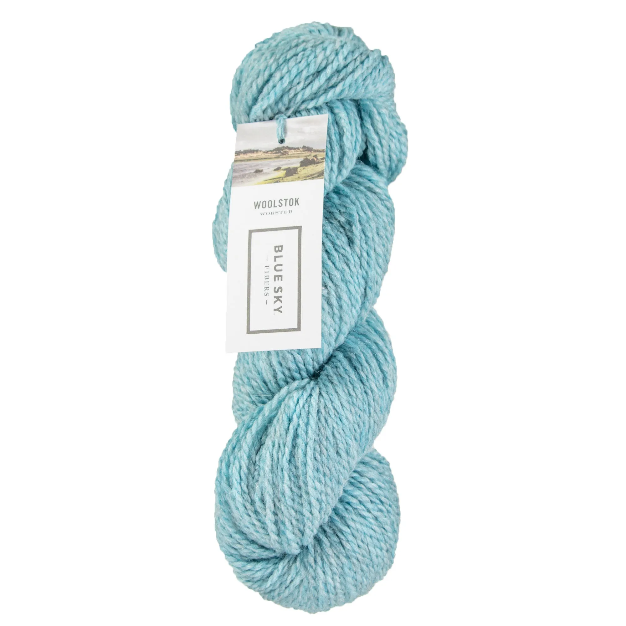 Blue Sky Fibers Woolstok Yarn - 1320 Spring Ice