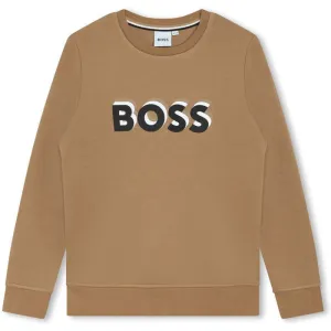 Boys Brown Logo Sweatshirt